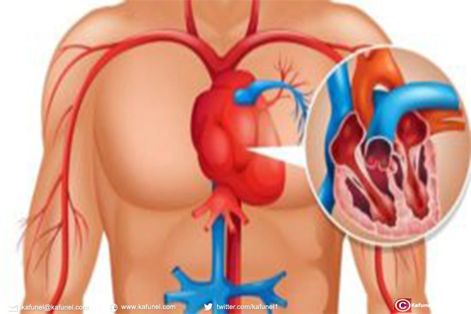 Cette liste vous SAUVE d'une crise cardiaque. Les appels à l’aide du corps UN MOIS avant...