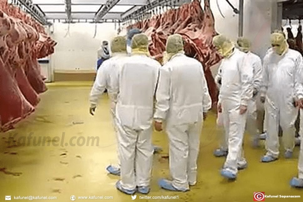 Belgique après les révélations d'un scandale alimentaire.jpg
