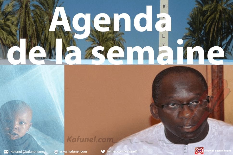 Lancement de la campagne de lutte contre le paludisme, samedi.jpg