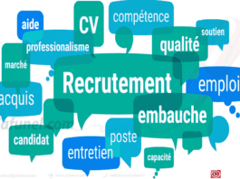 Offres-d-emploi.jpg