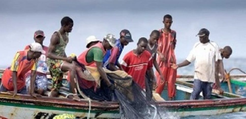 Les mareyeurs du Sénégal listent les maux de leur secteur