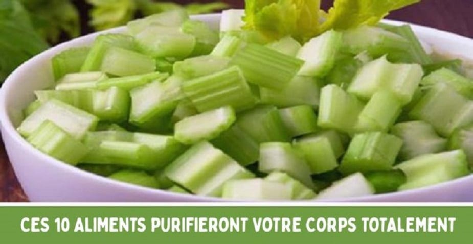 Ces-10-aliments-purifieront-votre-corps-totalement-725x375 Ces-10-aliments-purifieront-votre-corps-totalement-