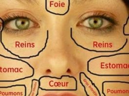 Cette-carte-du-visage-de-la-medecins-chinois-permet-didentifier-quelle-partie-du-corps-est-malade-et-comment-la-soigner-725x375