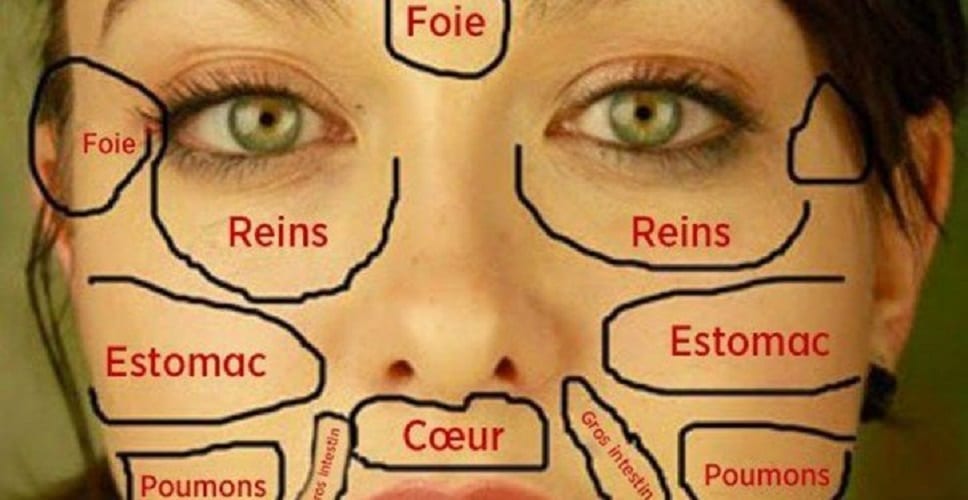 Cette-carte-du-visage-de-la-medecins-chinois-permet-didentifier-quelle-partie-du-corps-est-malade-et-comment-la-soigner-725x375 Cette-carte-du-visage-de-la-medecins-chinois-permet-didentifier-quelle-partie-du-corps-est-malade-et-comment-la-soigner-725x375