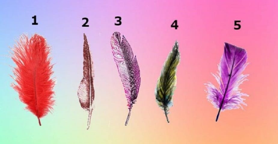 La plume que vous allez choisir va révéler de beaux secrets sur votre personnalité La plume que vous allez choisir va révéler de beaux secrets sur votre personnalité