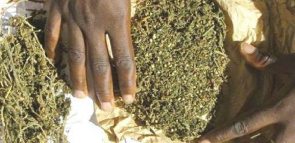 Souhébou Sow et Mourtala Sow écopent de 15 ans pour trafic international de drogue Souhébou Sow et Mourtala Sow écopent de 15 ans pour trafic international de drogue
