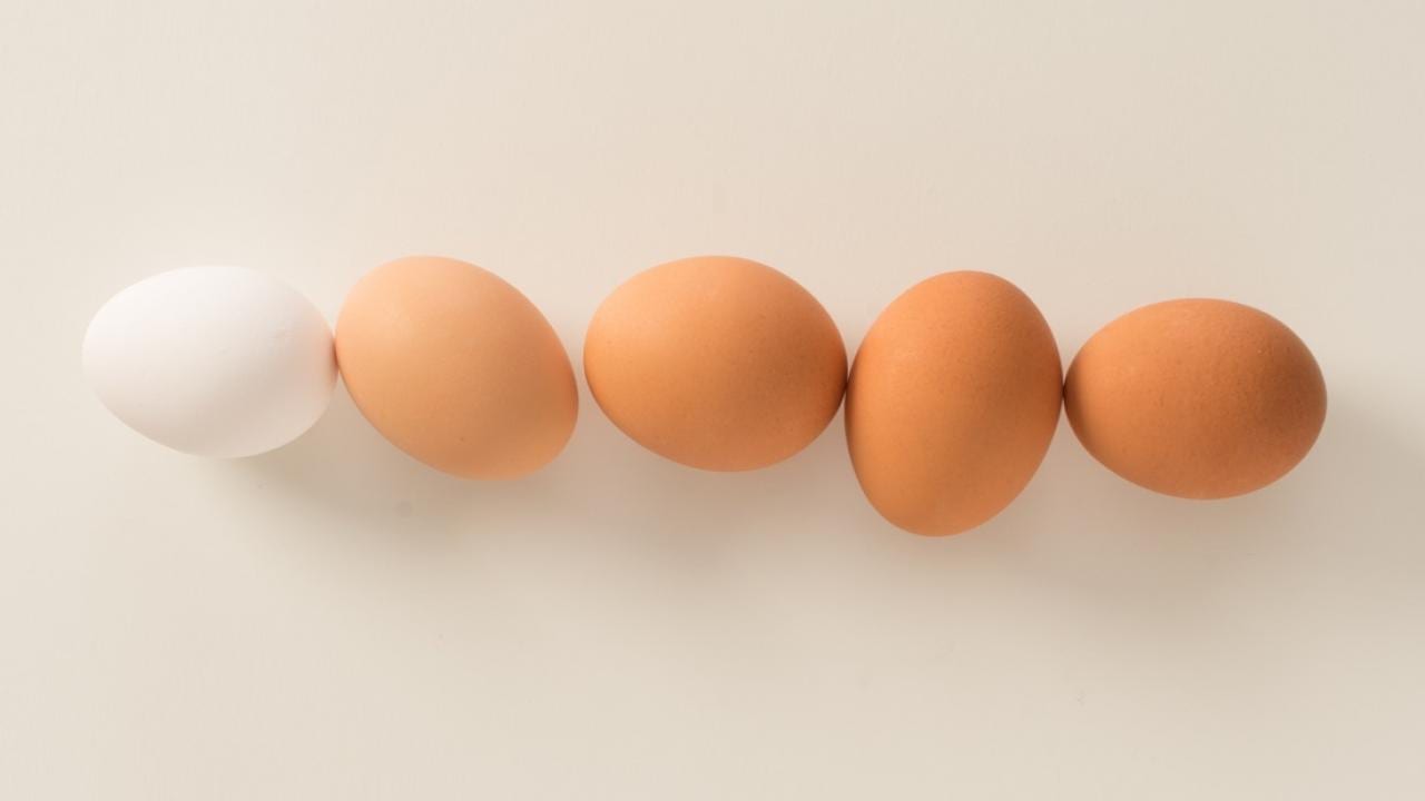 Nutrition-Article-middle-copy-CMS Nutrition-Article-middle-copy-CMS