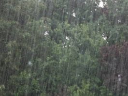 Pluies faibles à modérées à Kédougou et Bakel : Appel à la vigilence (Anacim)