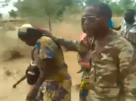 Exécutions filmées au Cameroun : sept militaires camerounais vont être jugés