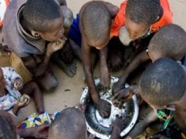 177 millions de personnes ont faim en Afrique de l’Ouest (Rapport Fao)