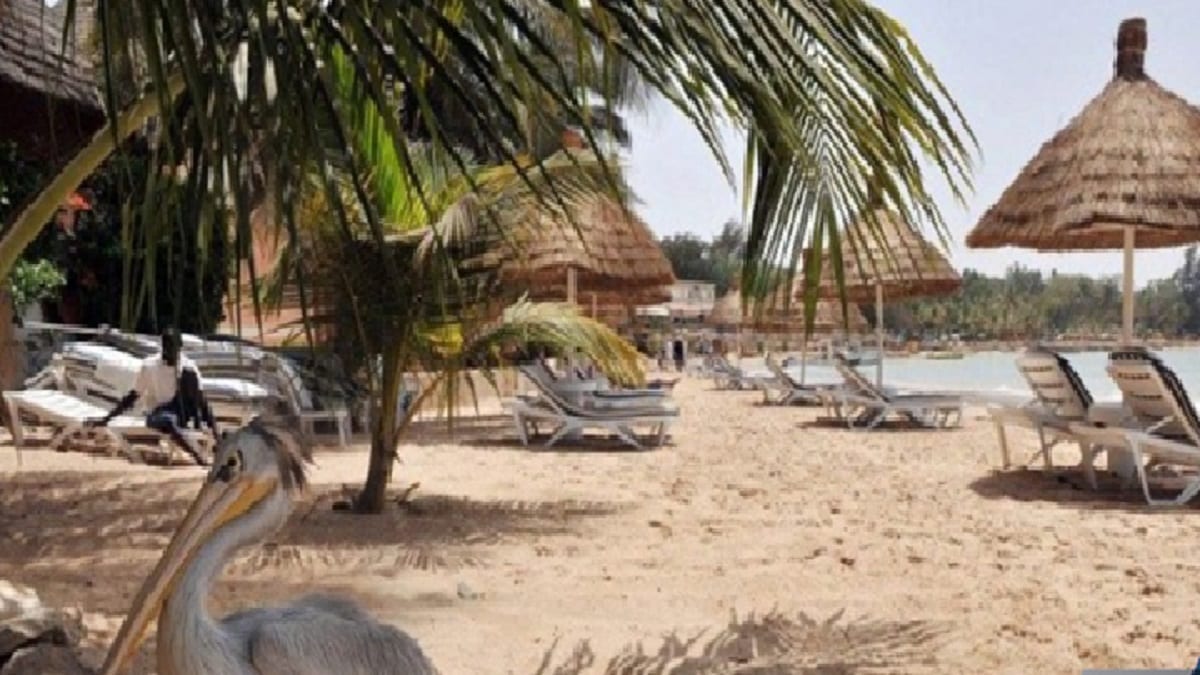 CRD Spécial sur l'offre touristique du Pôle Sine-Saloum, mardi CRD Spécial sur l'offre touristique du Pôle Sine-Saloum, mardi
