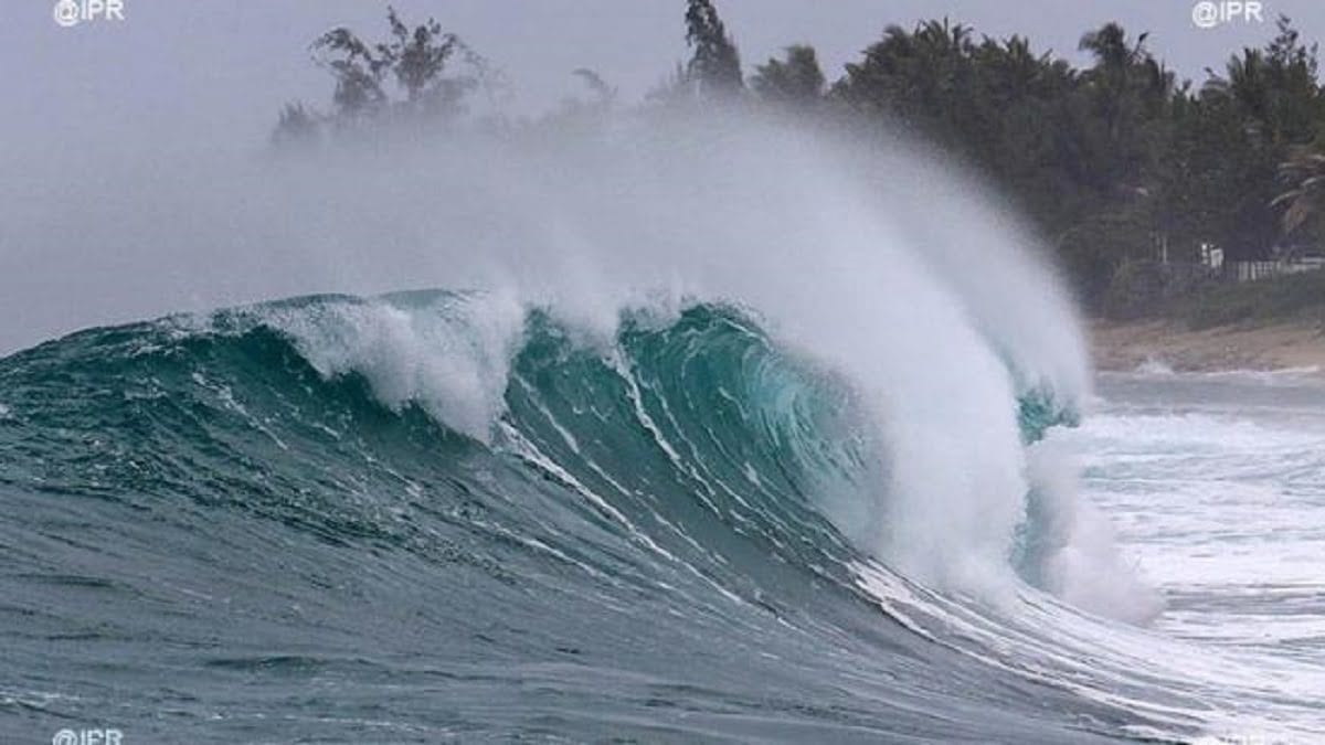 Alerte Météo ! Une houle dangereuse annoncée sur la côte sénégalaise