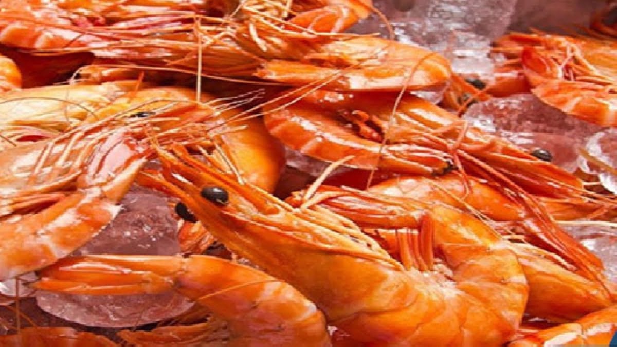 Des paquets de crevettes aux dates de péremption falsifiées ’’inondent’’ le marché (Service d’hygiène) Des paquets de crevettes aux dates de péremption falsifiées ’’inondent’’ le marché (Service d’hygiène)