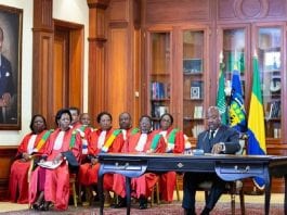 Noureddin Bongo Valentin, fils aîné d’Ali Bongo Ondimba, a été nommé président au Gabon ?