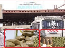 saisie de 300kg de chanvre indien à la gare routière de pikine (police)-Capture