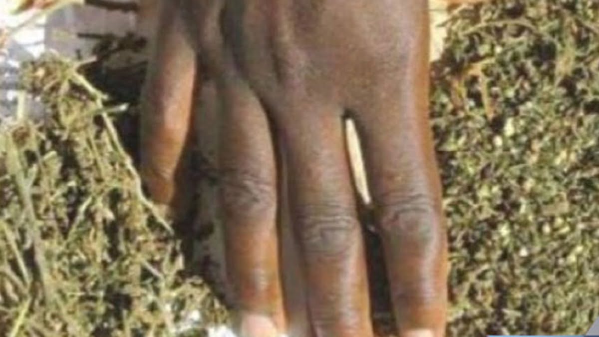 4,5 Kg de chanvre indien et 400 billets noirs saisis à Mbour (Police) indien - 4,5 Kg de chanvre indien et 400 billets noirs saisis à Mbour (Police)
