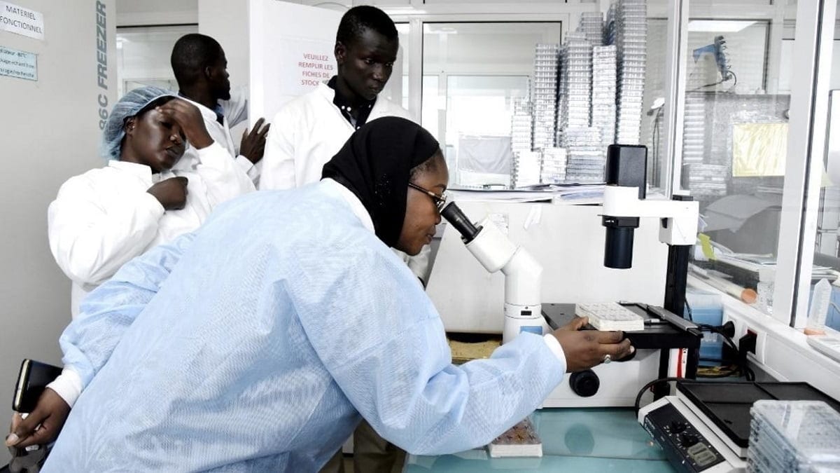 Le personnel scientifique à la recherche du coronavirus, dans le laboratoire sécurisé de l'Institut Pasteur de Dakar, le 3 février 2020. Le personnel scientifique à la recherche du coronavirus, dans le laboratoire sécurisé de l'Institut Pasteur de Dakar, le 3 février 2020. Seyllou / AFP