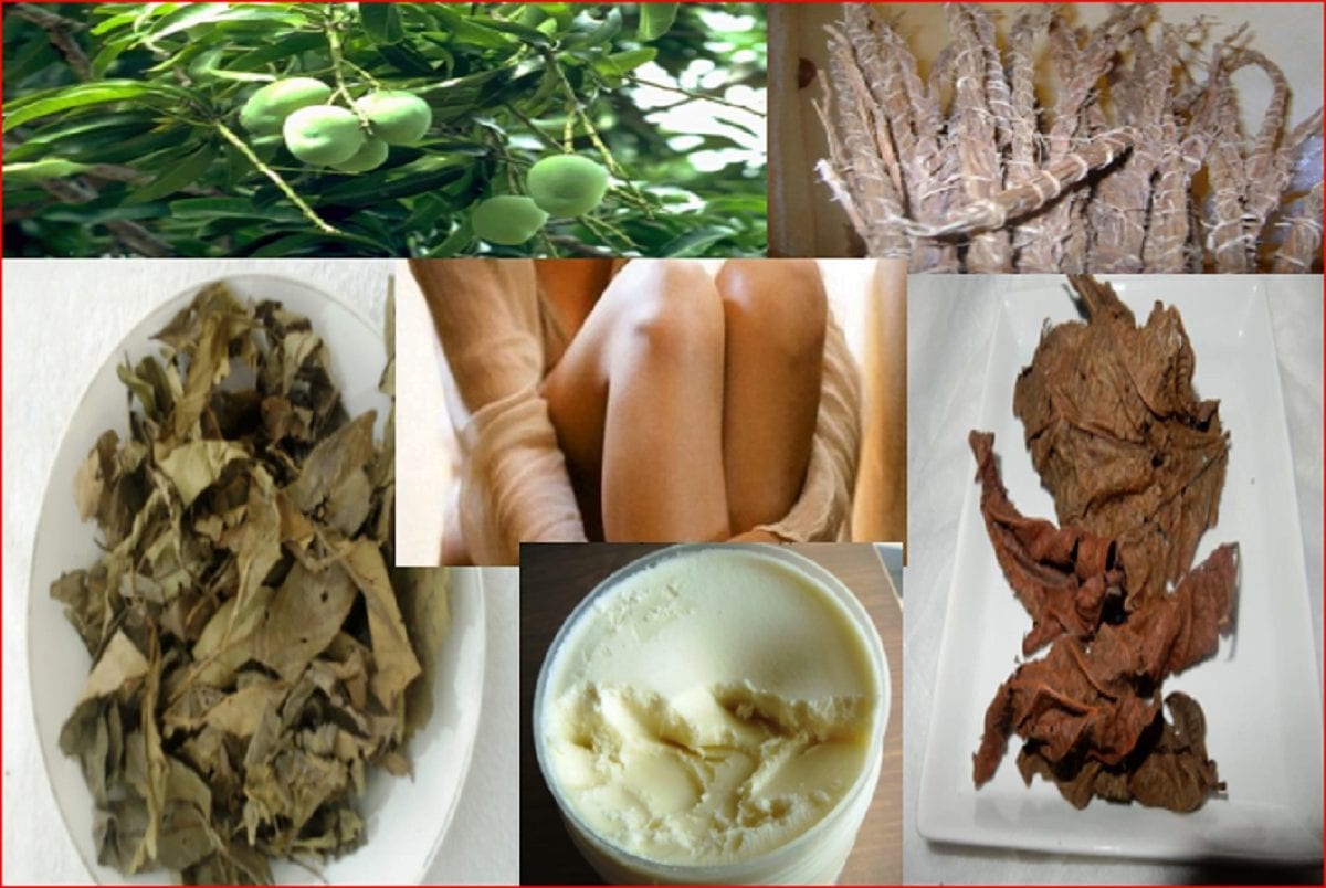 5 plantes africaines pour avoir un vagin au top-Capture Kafunel.com