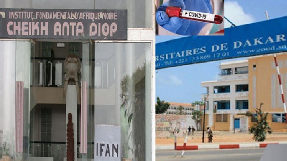 Webinaire sur les sentinelles des pandémies, jeudi