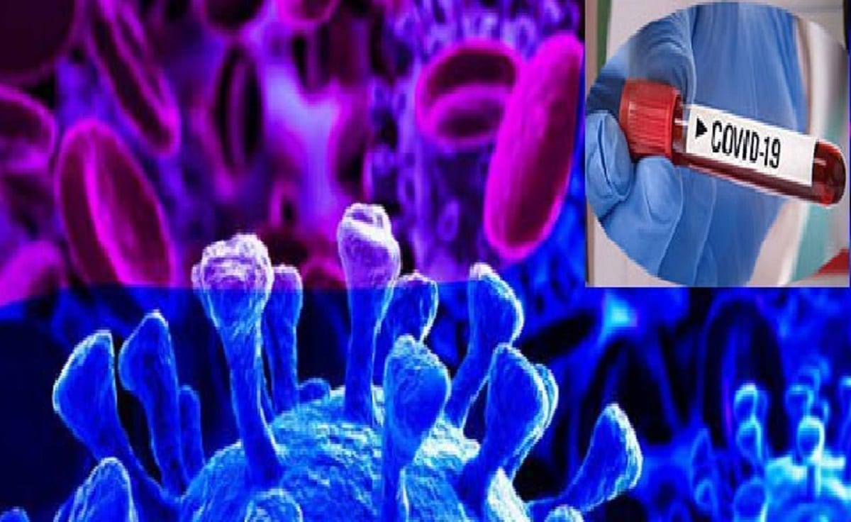 Quatre nouveaux cas de Coronavirus découverts à Touba Quatre nouveaux cas de Coronavirus découverts à Touba