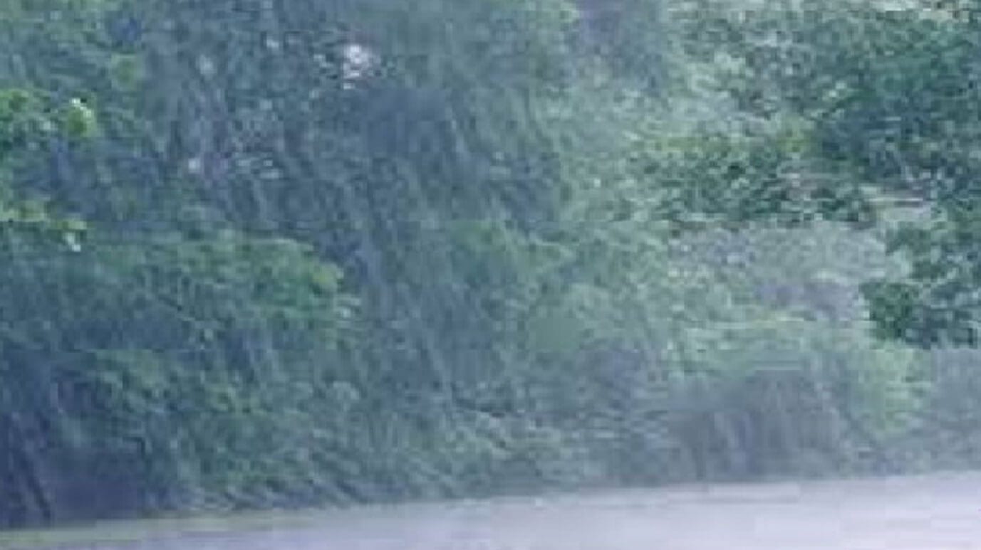 Des orages et pluies sur l’Est Des orages et pluies sur l’Est