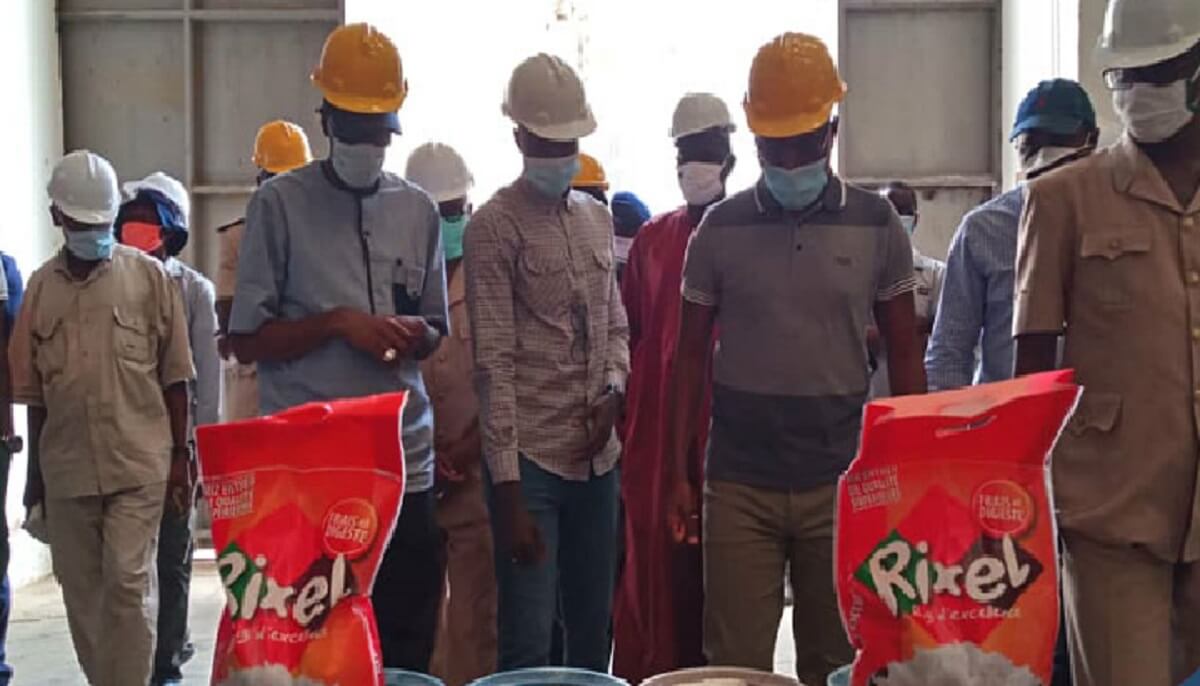 Riziculture et maraichage Amadou Hott prône des mesures urgentes pour les entreprises