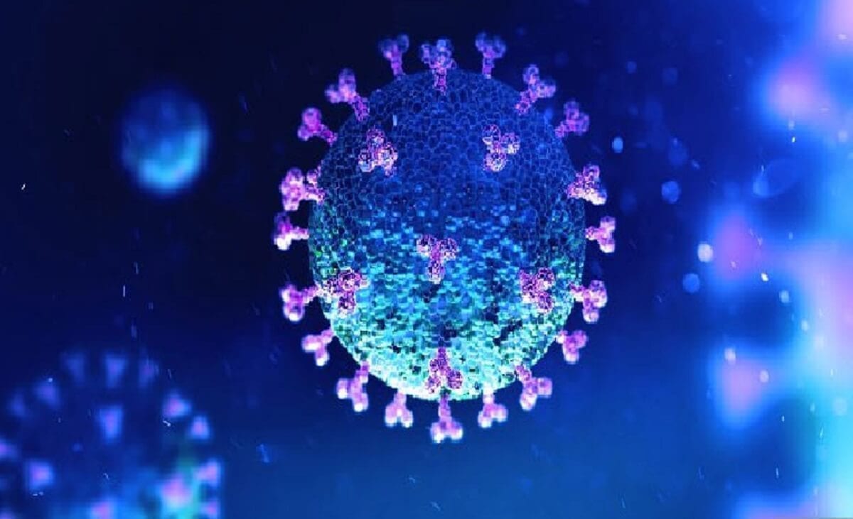 Traitement des cas graves de Covid-19 Wuhan envisage une réserve de plasma Traitement des cas graves de Covid-19 Wuhan envisage une réserve de plasma