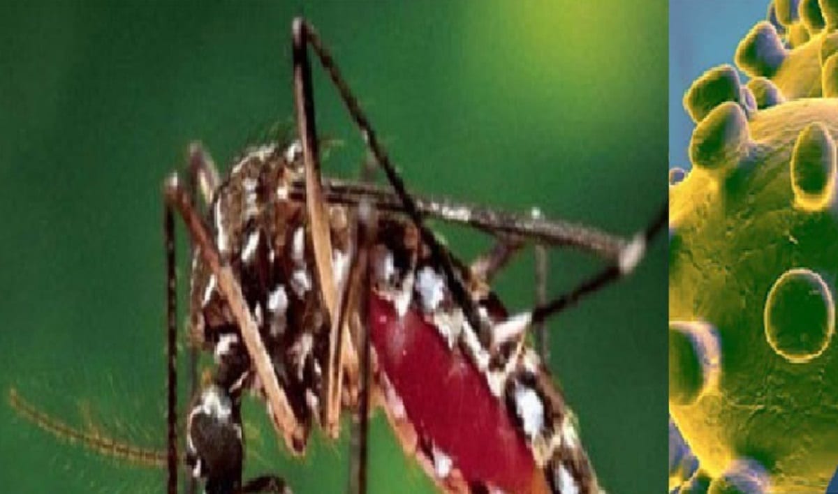 Les autorités de Kaffrine veulent lutter contre la Covid-19 et la dengue Les autorités de Kaffrine veulent lutter contre la Covid-19 et la dengue