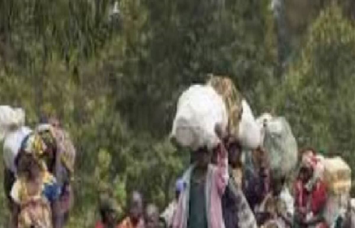 Washington aide au retour en Casamance des personnes déplacées Washington aide au retour en Casamance des personnes déplacées