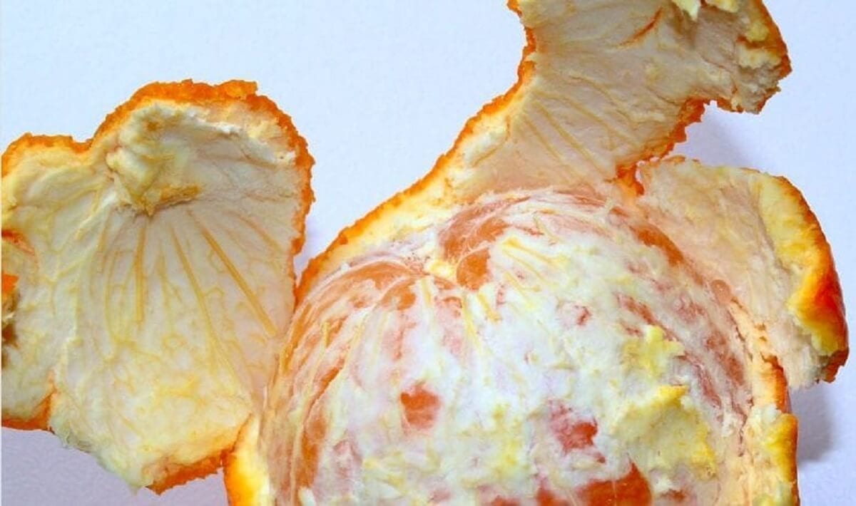 Avez-vous des zests d’orange Ne les jetez pas car VOICI ce que vous pouvez faire avec ! Avez-vous des zests d’orange Ne les jetez pas car VOICI ce que vous pouvez faire avec !