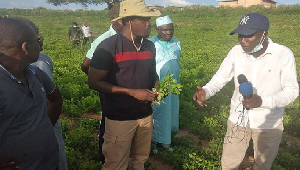 ousmane-sonko-dans-les-champs-de-ses-partisans-a-louga-et-a-kebemer ousmane-sonko-dans-les-champs-de-ses-partisans-a-louga-et-a-kebemer