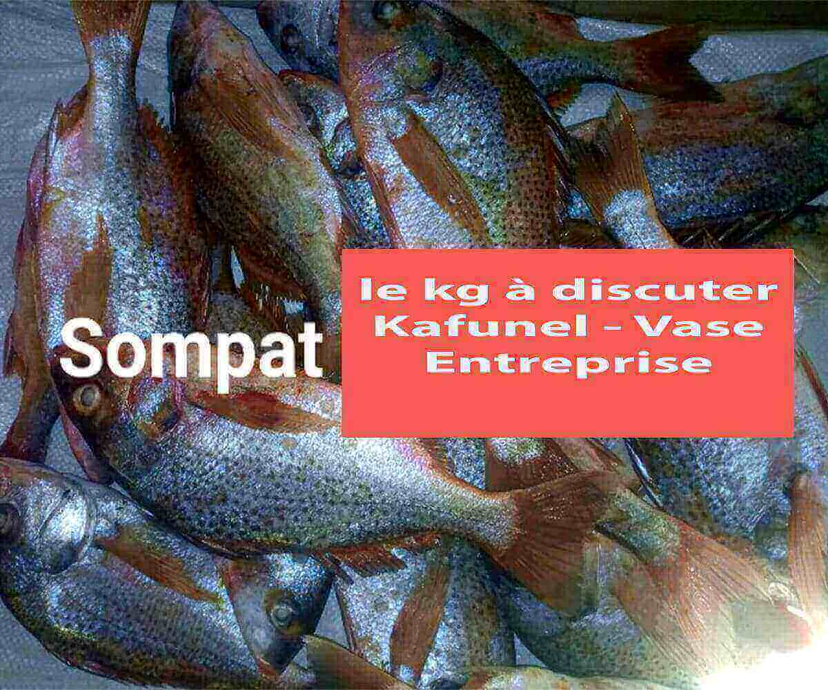 Sompate