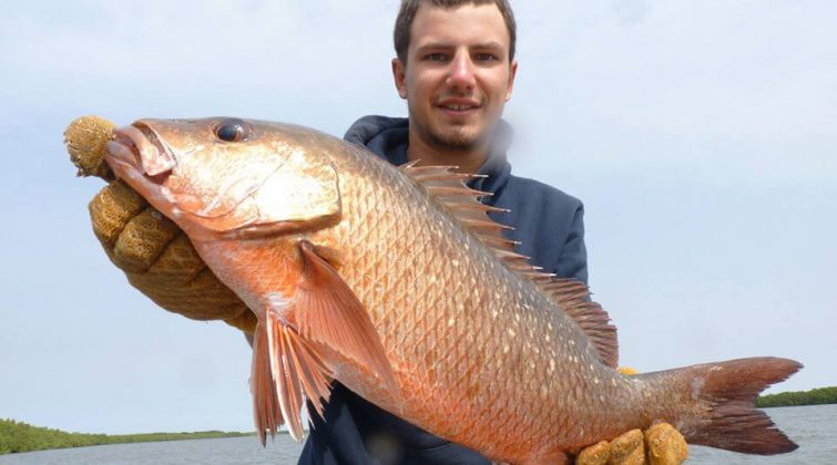 Pêche du Capitaine en Afrique, Poisson mythique 100%