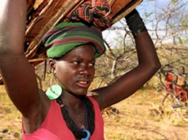 La lutte des Africaines pour l’égalité