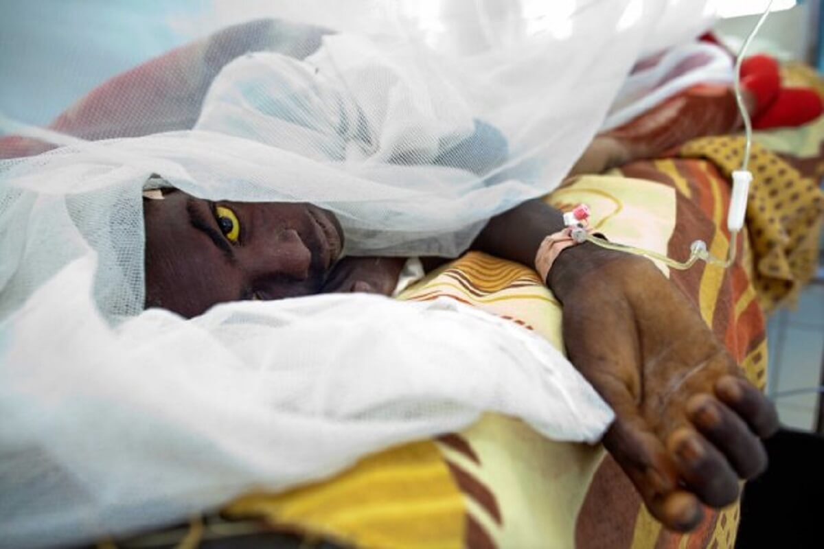 Causes, symptômes… Tout savoir sur la fièvre jaune, cette maladie qui fait son retour au Sénégal Causes, symptômes… Tout savoir sur la fièvre jaune, cette maladie qui fait son retour au Sénégal