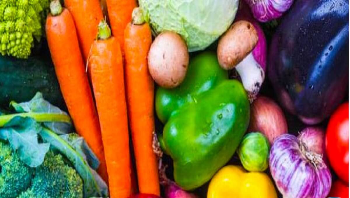 presence-de-salmonelles-dans-les-legumes-au-niveau-des-marches-dans-la-zone-des-niayes-et-dakar-etude
