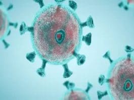 Des études très rassurantes pour les personnes infectées