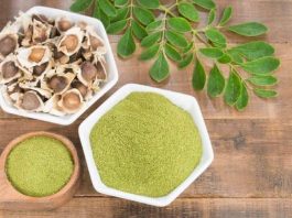 Comment le thé Moringa est-il utilisé