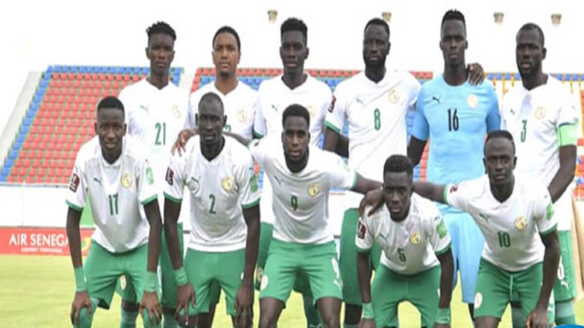 lions-en-grande-forme-en-ce-debut-de-saison lions-en-grande-forme-en-ce-debut-de-saison