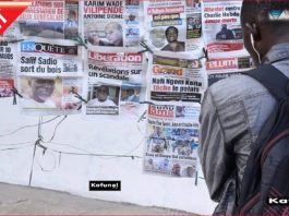 Revue de presse - Fonds d'Appui et de Développement de la Presse (FADP)Capture