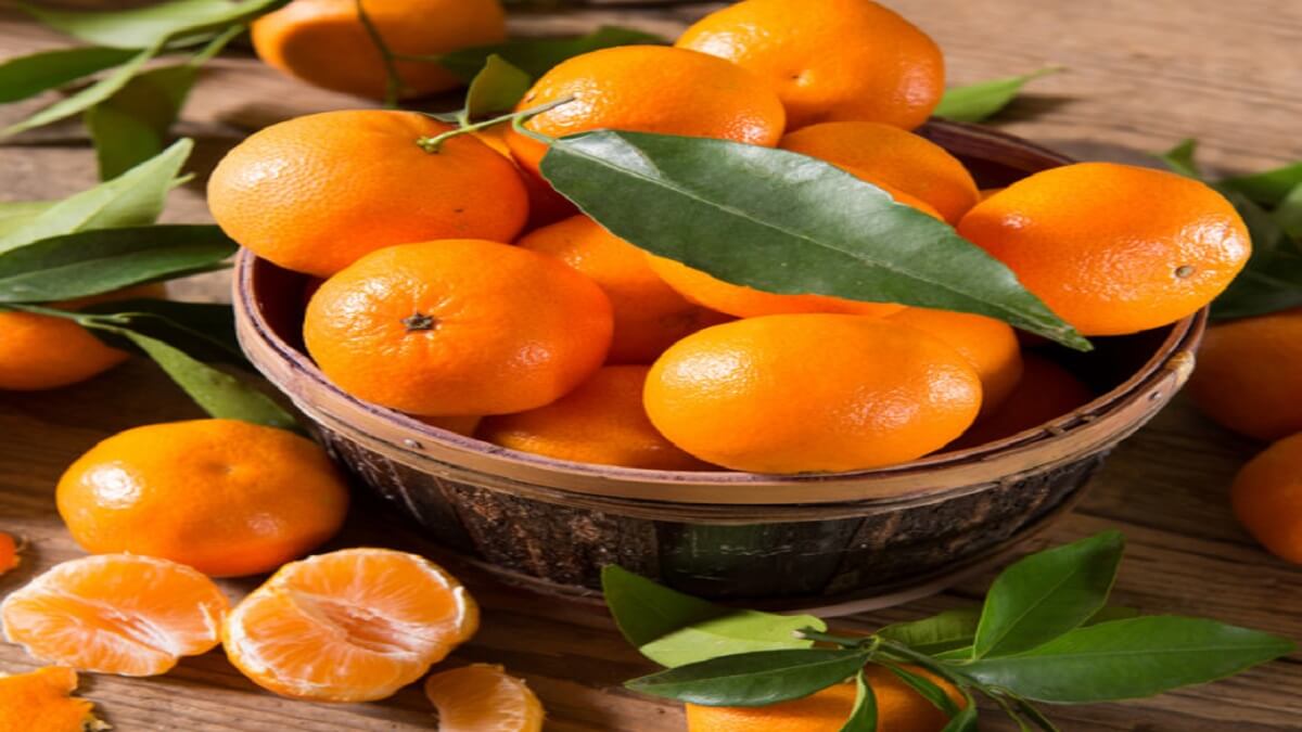 clementines-fruits-panier-gourmand-bio-raisonnee-lyon clementines-fruits-panier-gourmand-bio-raisonnee-lyon