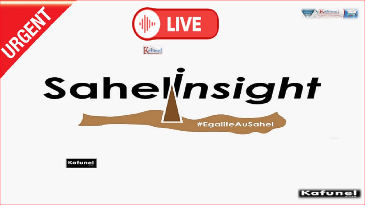 SAHEL INSIGHT Les citoyens au cœur de la réduction des inégalités au Sahel0Capture SAHEL INSIGHT Les citoyens au cœur de la réduction des inégalités au Sahel0Capture
