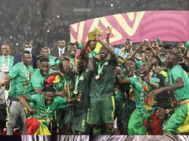 Revue de presse du 7 février 2022 Les Lions Célébrés par les Quotidiens