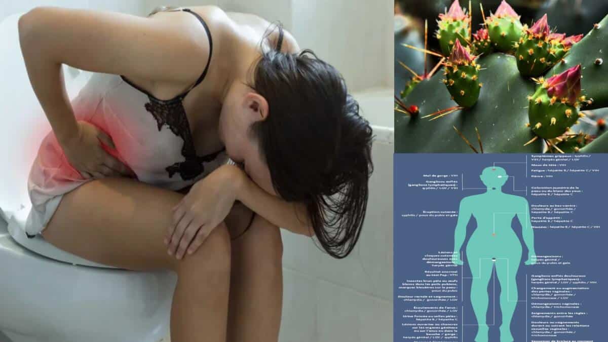 Shigellose pourquoi cette infection intestinale, sexuellement transmissible, inquiète les autorités sanitaires ok Shigellose pourquoi cette infection intestinale, sexuellement transmissible, inquiète les autorités sanitaires ok