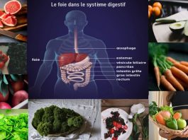 10 astuces naturelles pour assainir votre foie ok