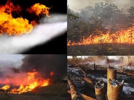 Ranch de Dolly dans un feu de brousse non-stop en 48 heures ok