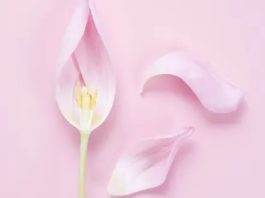infection vaginale lutter efficacement contre avec le fruit à 4 cotés