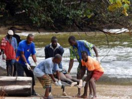 naufrage de mini ferry au Gabon