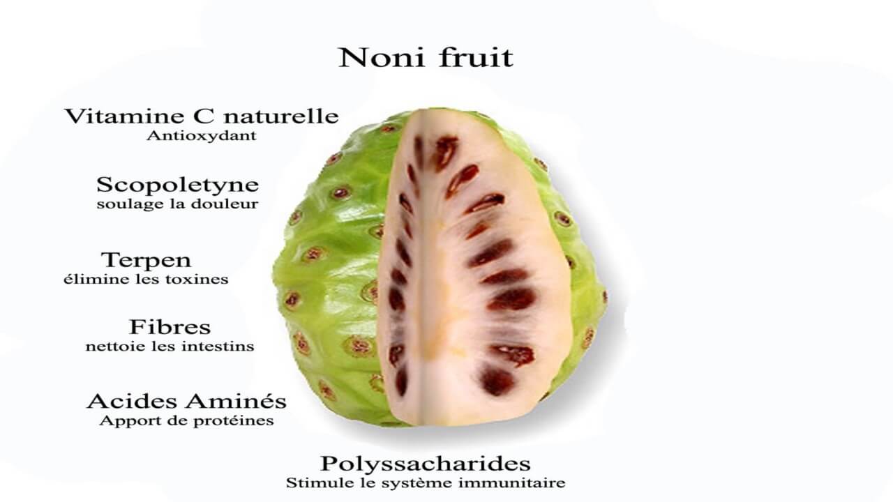 fruit de noni