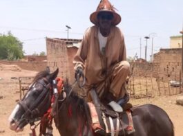 Nguédi Diaw, une vie dédiée au cheval et à l’hippisme
